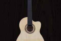 Guitar-1-full-face_IMG_2511