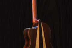Guitar-1-wood-bkgd_IMG_2517