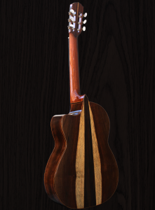 guitar-1-wood-bkgd_img_2517