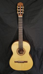 Guitar 181
