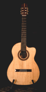 Guitar 161