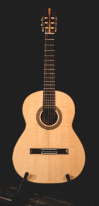 Guitar 172